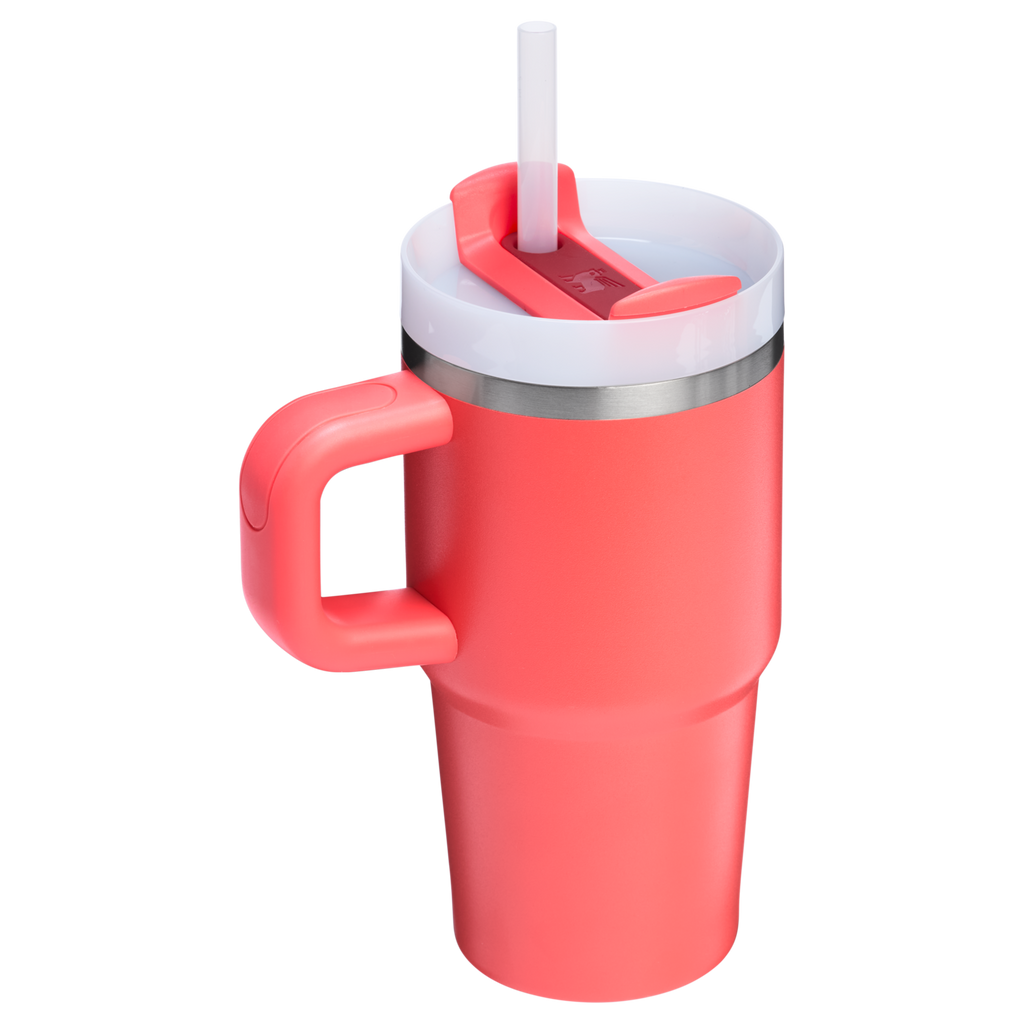 Splash-Resistant FlowState The Quencher H2.O Flowstate Tumbler D069R - Premium Stainless Steel Straw Cup for All-Day Hydration Detail