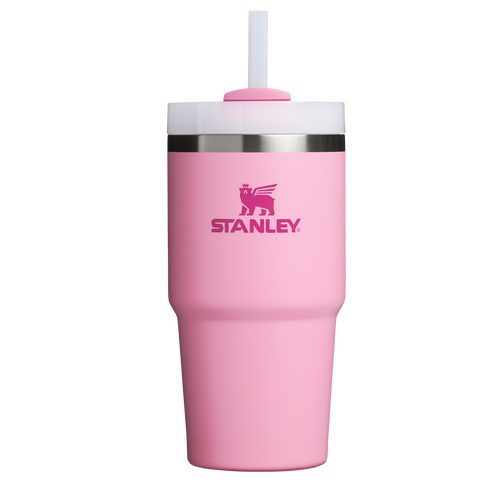 Car-Cup Friendly The Quencher H2.0 Flowstate Tumbler D030T - FlowState 3-Position Lid Insulated Travel Mug - Ash