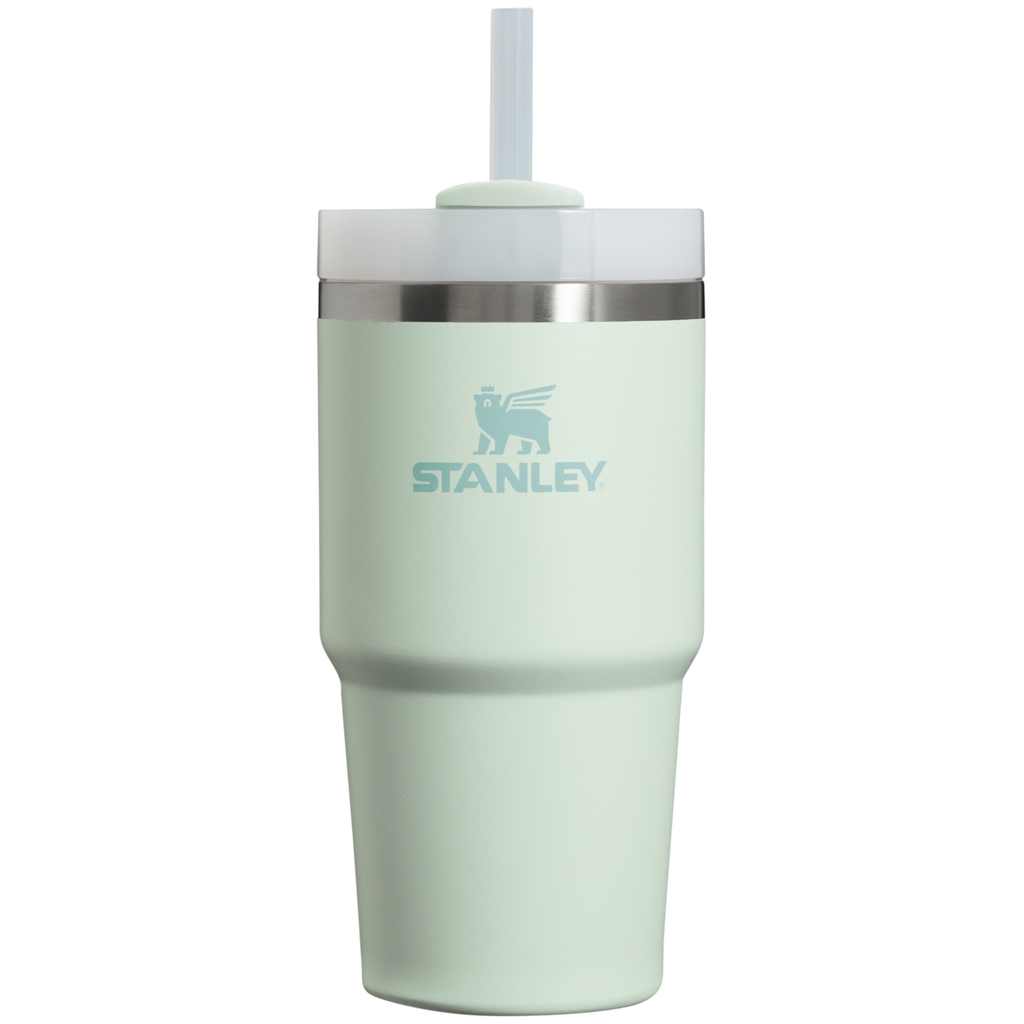 Car-Cup Friendly The Quencher H2.0 Flowstate Tumbler D030T - FlowState 3-Position Lid Insulated Travel Mug - Mist